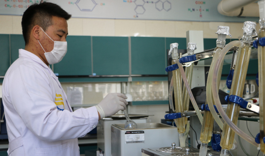 ХАМТАРСАН ТУРШИЛТ СУДАЛГАА